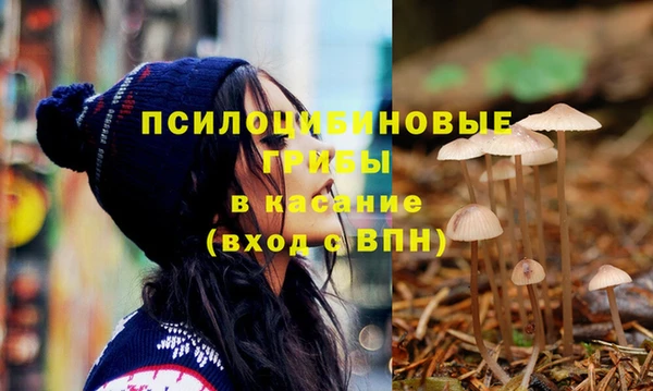 мяу мяу мука Балабаново