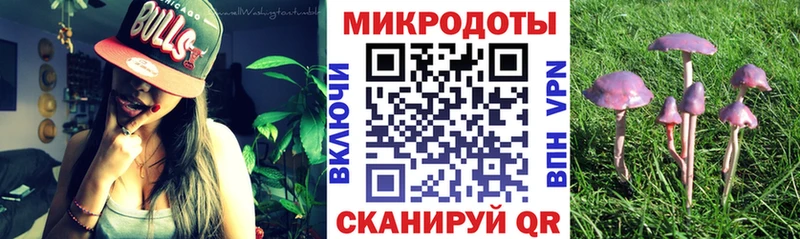 Купить закладки  Морозовск  Галлюциногенные грибы Cubensis 